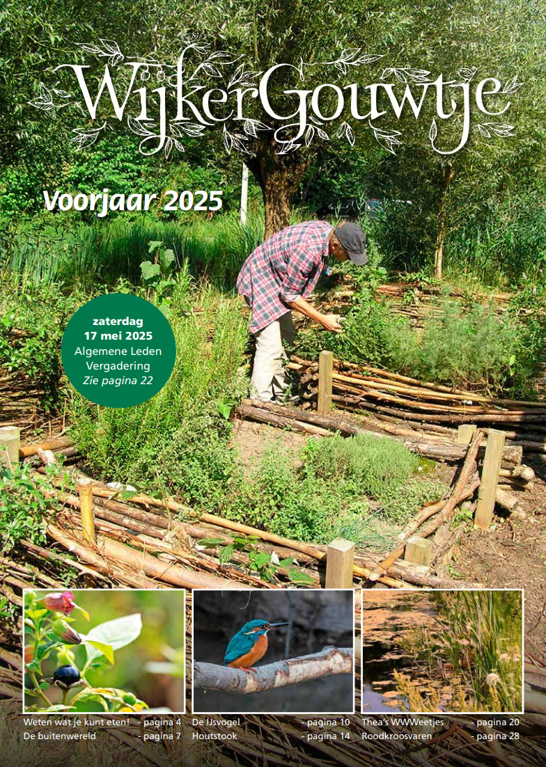 Wijkergouw Voorjaar2025