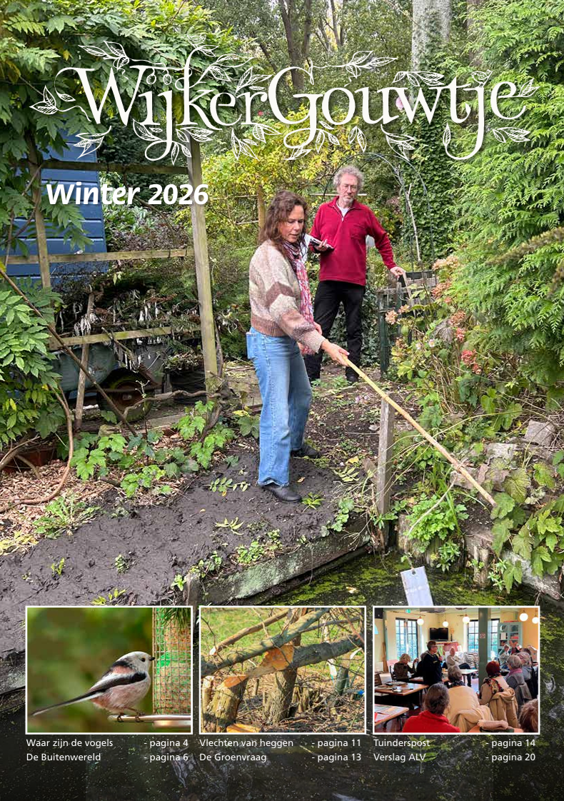 Wijkergouw Zomer 2025